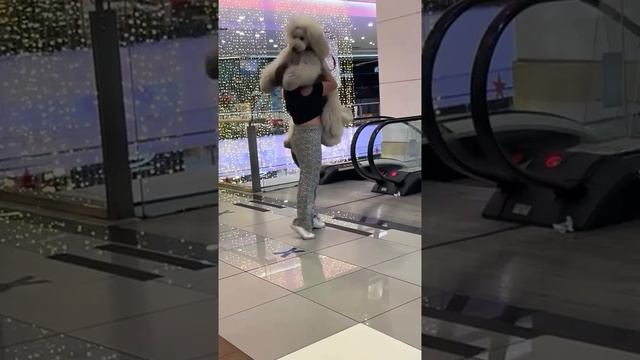 1000013292.mp4