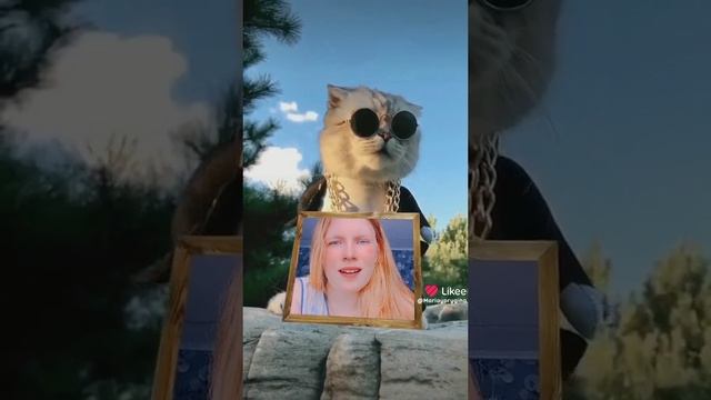 какой то котяра охраняет мой портрет 😂🤣