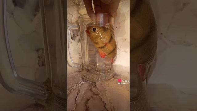 любите рыбалку?