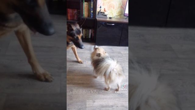 1000003551.mp4