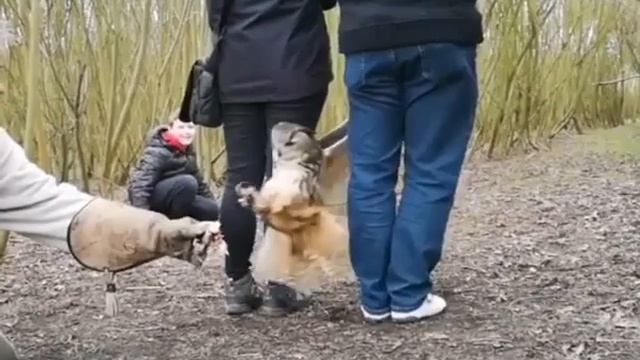 1000013302.mp4