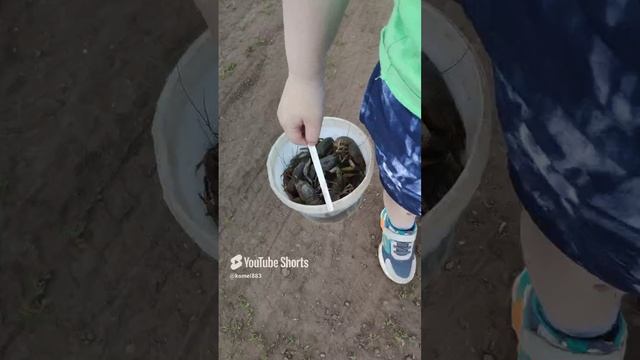 Улов (1).mp4