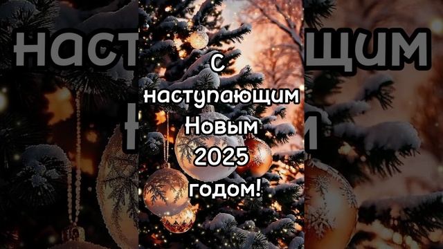 С наступающим Новым 2025 годом!