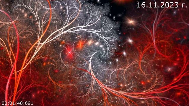 815 Привратники 16.11.2023 г