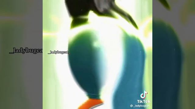 1000001233.mp4
