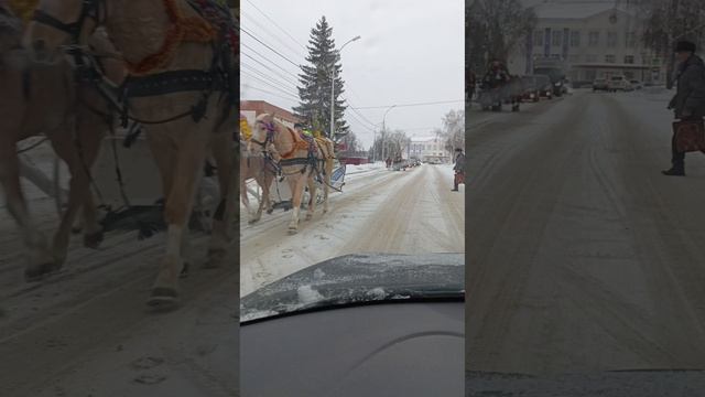 " Тройка борзая бежит"