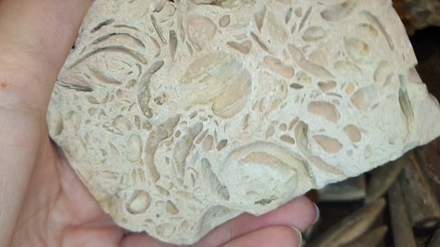 Самоцветы и окаменелости для Елены из Надыма, а так же украшения из белемнитов, изготовленые Еленой