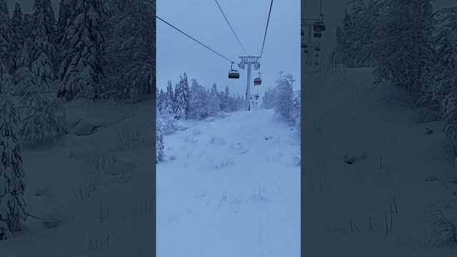 Зимний драйв на сноуборде 🏂❄️ | ГЛЦ Гора Белая 🌨️✨ #Сноуборд