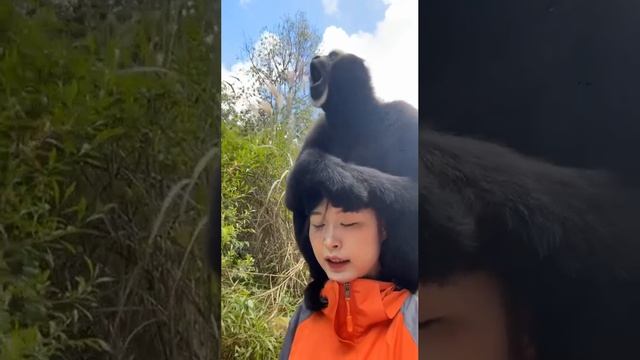 1000013296.mp4