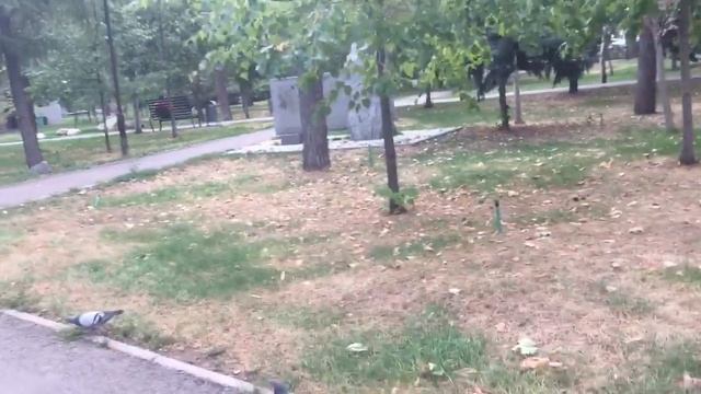 Алматы. Работы в центре города