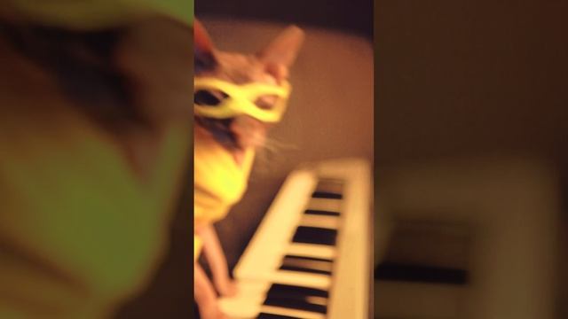 Сигма кот (cat cover Sigma boy Сигма Бой)