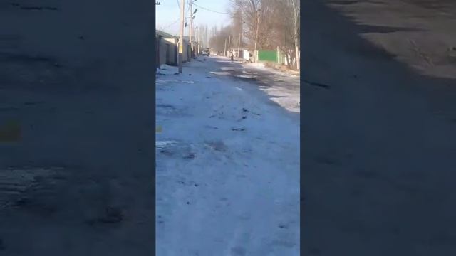 VID-20241228-WA0004.mp4