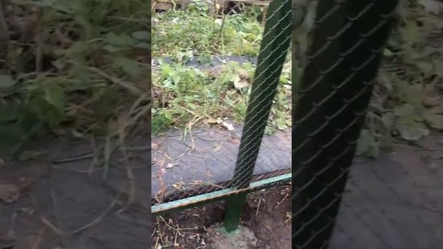 Монтаж забора из сетки рабицы в Томске - Строительство забора в Томске - Крепкий Дом Томск