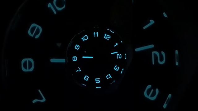 1000035043.mp4