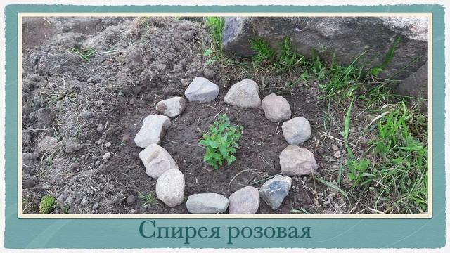 №19. Новое на деревенском участке! Покажу фотки и расскажу подробности!