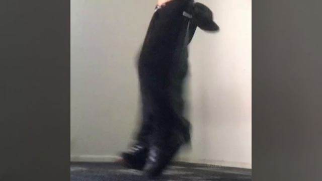 M0da1_Trippp