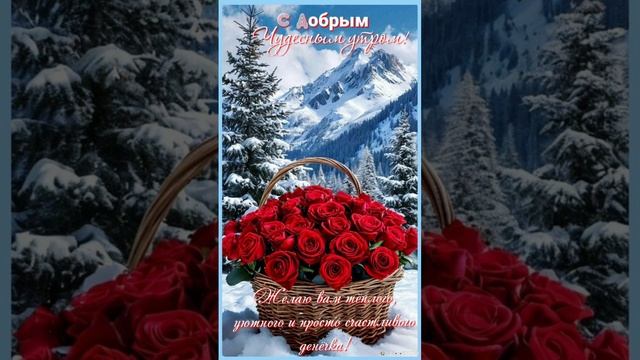 Доброе утро💖 С последними денечками уходящего года🎄❄️🎄