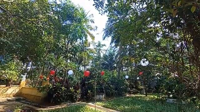 Сущность 4го дня ЧИСТОТЫ - 28.12 как 4-й (из 7ми) Ступеней после Рождества 25.12 до Нового Года 1.01