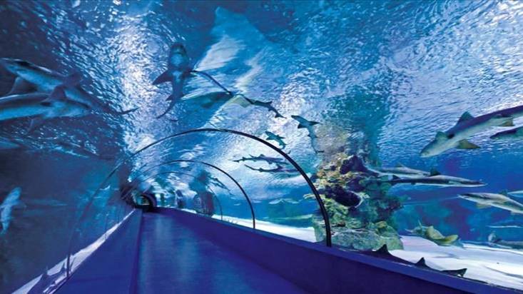 Акванариум в Анталии (Antalya Aquarium, Turkey)