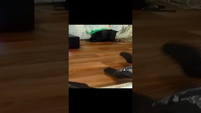 Это я и Мой брат Максим
(будет вторая часть!!!)