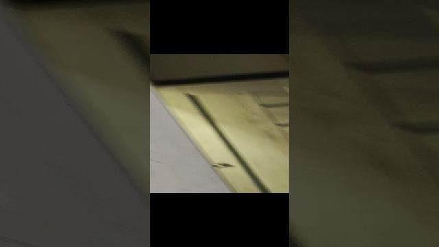 1000044590.mp4