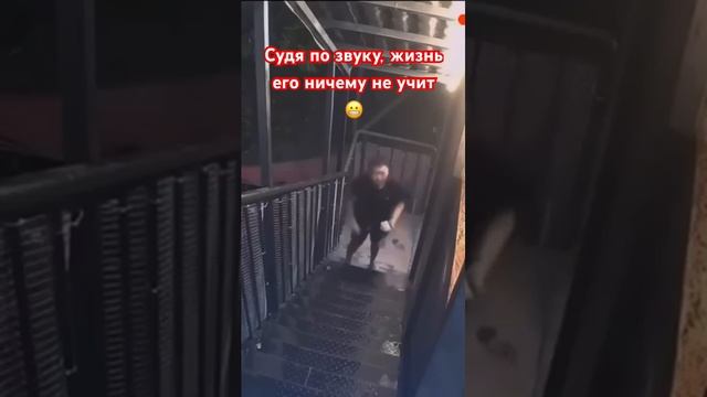 Судя по звуку, жизнь его ничему не учит