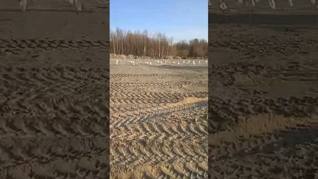 От первого лица о рабочей обстановке 🚛 Услуги бурения тел. +7 (985) 185-77-77. Звоните и пишите