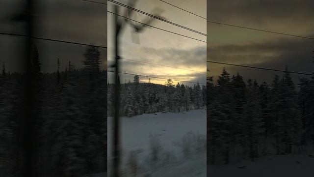 Карельские зимние виды на закате из поезда. РЖД