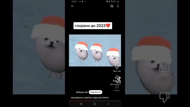 Screen_Recording_20241228-135557.mp4