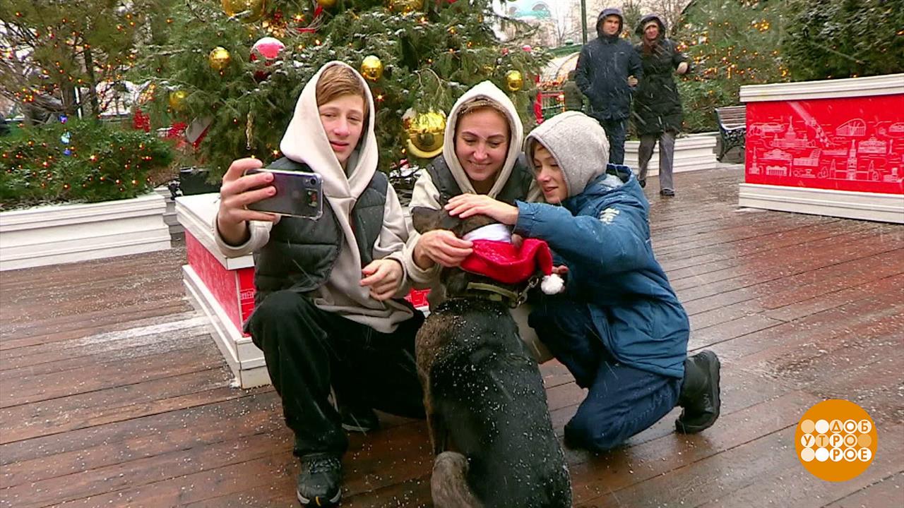 Мечты сбываются! Доброе утро. Фрагмент выпуска от 28.12.2024