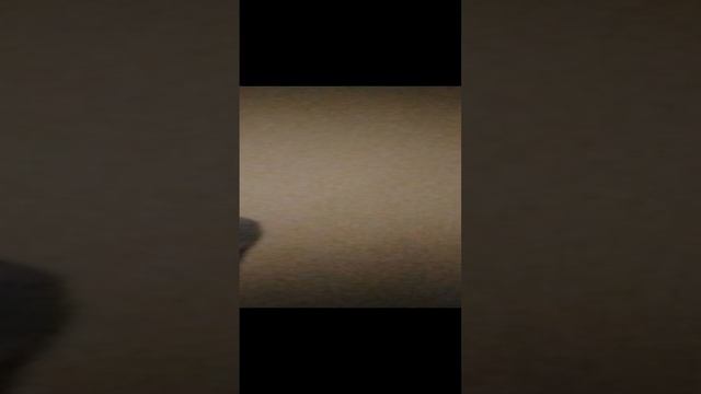 1000071981.mp4