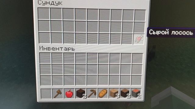 20241228_104402.mp4