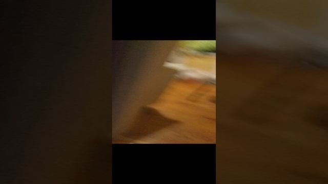 обзор на мой дом часть 2
