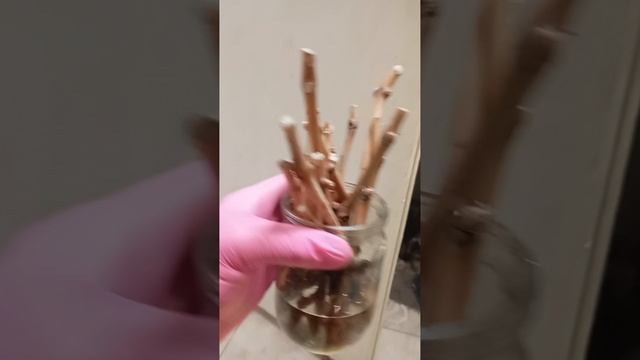 1000017895.mp4
