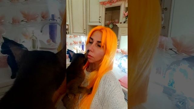 Кажется, Добби разошёлся