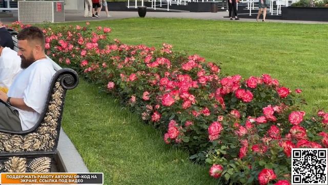 Парад физкультурников! ВДНХ Москва воскресенье Прямая трансляция Стрим прогулки по Москве