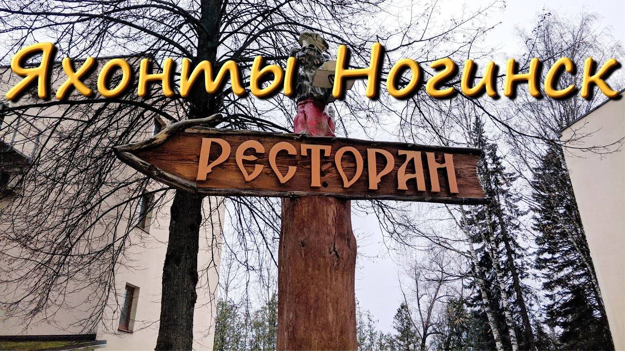 Отель Яхонты Ногинск Ресторан Отзывы