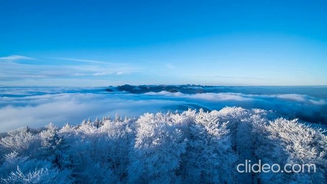 Важно! Курс рубля сегодня!!!