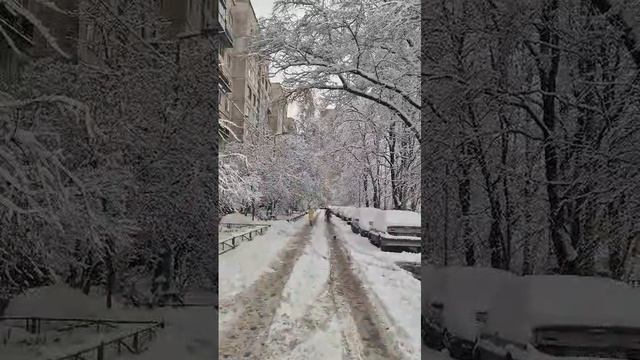 1000023644.mp4