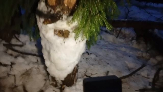 Леший СЛСР