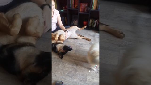 1000003547.mp4