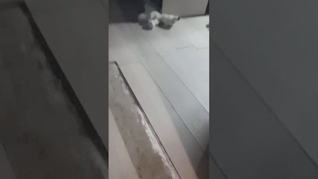 паркур челленж.