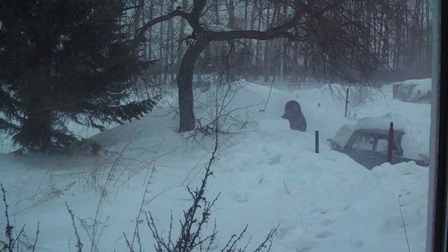 зима 2013год