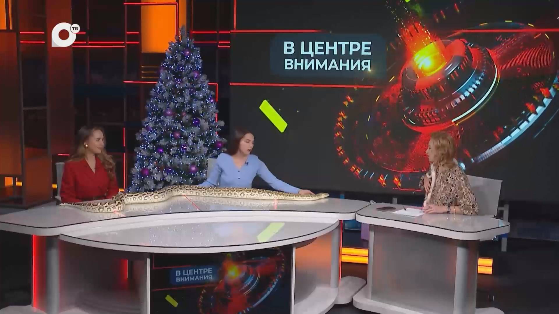 В центре внимания / Встречаем Новый год / 31.12.24