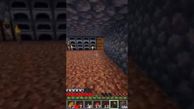 Minecraft Лучшее #412