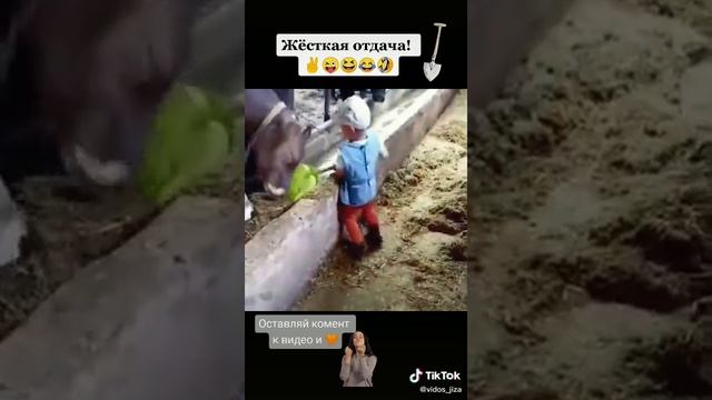 ОТДАЧА🤣🤣🤣