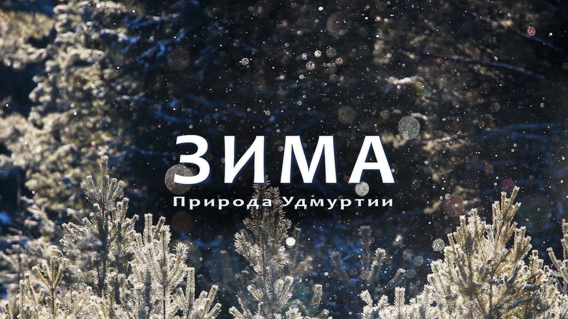 Зима