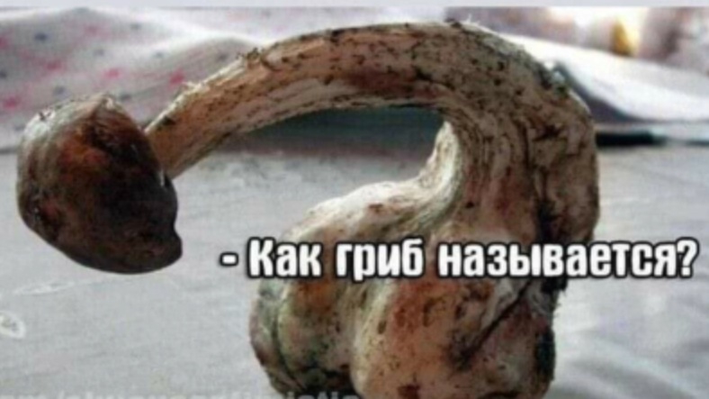 Приколы в слайдах🤣 #юмор #shorts #рекомендации