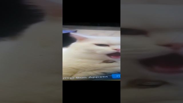 Не пишите плохие комментарии поже!!!!!