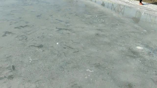 о.Русский-канал-Новик-океанариум